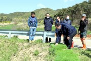 영광군 첫 모내기 실시