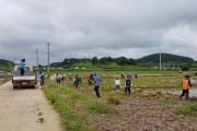 군서면, 희망일자리사업 근로자와 함께 수해복구 지원