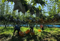 영광군, 태풍 ‘바비’ 피해농가 일손돕기 나서