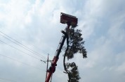 영광군, 태풍 ‘링링’에 쓰러진 나무 신속히 복구 완료