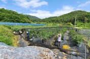 영광군 산림공원과 코로나19 극복 농촌 일손돕기