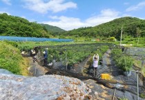 영광군 산림공원과 코로나19 극복 농촌 일손돕기