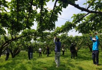 영광군, 농촌 일손돕기 추진