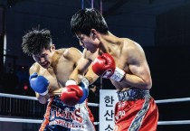 [영광 체육인 릴레이 인터뷰⑧] 영광군복싱협회장 이기혁 회장