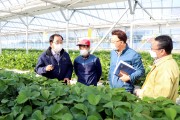 김준성 군수, 수확철 맞아 영농현장 방문해 격려