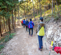 황토의 푸근한 감촉, 국내 봄 여행지 물무산 행복숲!