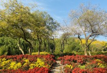 태청산 안골에서 국화향에 취하다