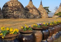 군남면, 형형색색 향기 가득한 꽃단지 조성