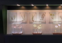 영광산림박물관 야생화 압화 설치