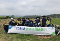 영광군 전 직원, 농촌일손돕기 나서