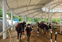 코로나 극복에 한 걸음 다가선 영광 승마장