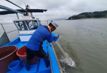 영광군, 칠산해역에 어린대하 방류로 수산자원 확충