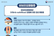영광군, 비브리오패혈증 예방수칙 준수 당부