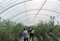 종합민원실 직원 농촌 일손돕기 적극 전개