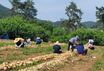 염산면, 영농철 맞아 농촌일손돕기 나서