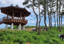 군서면, “100리 꽃길 잡풀 제거에 안간힘”