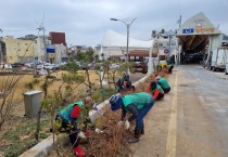 영광읍 부녀회, 탄소중립 실현을 위한 꽃나무심기 실시