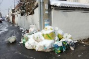 쓰레기 무단투기 '심각'…"행정은 나 몰라라"