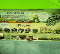 영광군, 2025 영광 법성포 단오제 떡산업 식품전 홍보부스 운영
