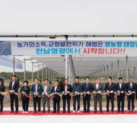 영광군, 전국 최대 규모 영농형 태양광 발전단지 조성