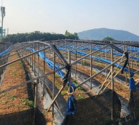 영광군, 겨울철 한파·대설 대비 농업시설물 집중 점검