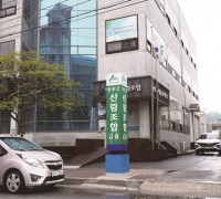 무책임 경영이 부른 참사…영광군 산림조합 ‘파산 위기’