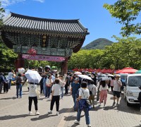 38만 명 발길…제25회 영광불갑산상사화축제 성황리에 폐막
