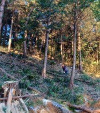 영광군, 연흥사·내산서원에 산불안전공간 조성