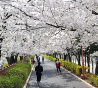 꽃향기 가득한 봄꽃축제 5