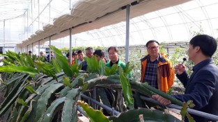 영광군, 한국농촌지도자영광군연합회 품목별 현장교육 실시 1.jpg