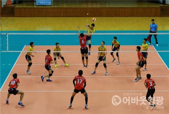 2019 천년의 빛 영광배 전국남녀중고배구대회.jpg