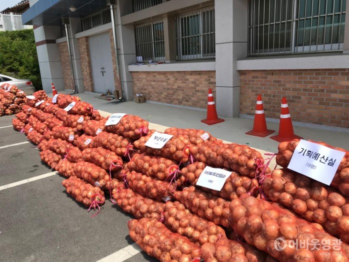 영광군, 양파 소비 촉진운동 적극 추진 2.JPG