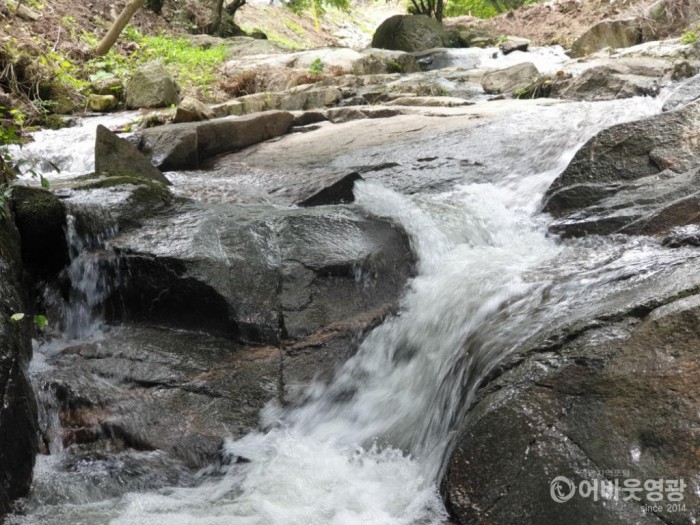 대마면 태청계곡 개방 2.jpg