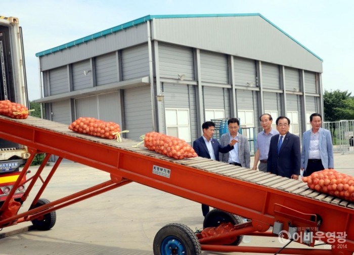 4. 영광군, 양파 동남아 수출 통해 활로 개척 3.JPG