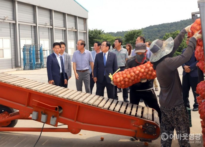 4. 영광군, 양파 동남아 수출 통해 활로 개척 4.JPG