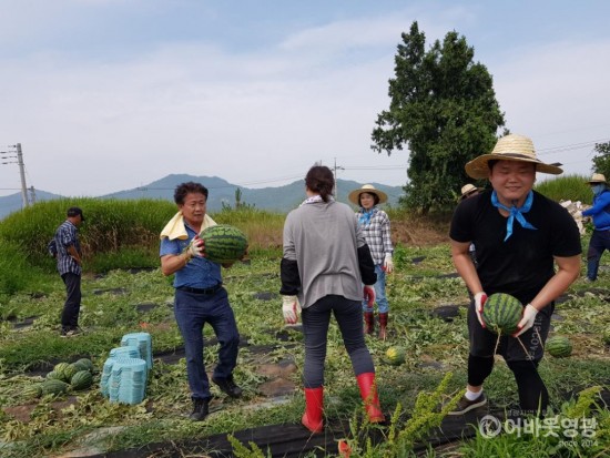 어르신들~ 수박 드시고 건강한 여름 나세요 2.jpg