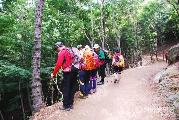 영광 물무산 행복숲, 2019년 국가균형발전사업 우수사례 선정 2.jpg
