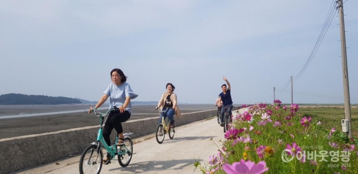 염산면 설도항 둘레길  코스모스 꽃길 따라 자전거 여행을 떠나요! 2.jpg