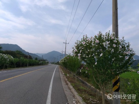 무궁화꽃길 조성.jpg