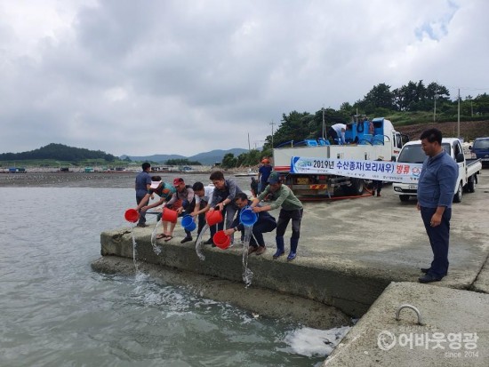 영광 향화도 해역에 보리새우 종자 방류 2.jpg