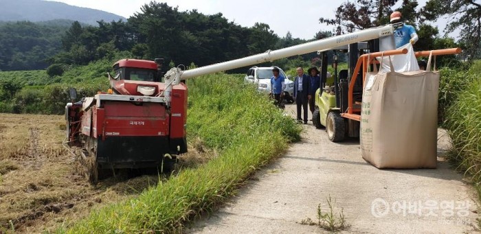 영광군, 올해 조생종 벼 첫 수확 2.jpg