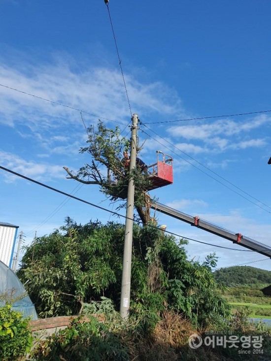 영광군, 태풍 ‘링링’에 쓰러진 나무 신속히 복구 완료 2.jpg