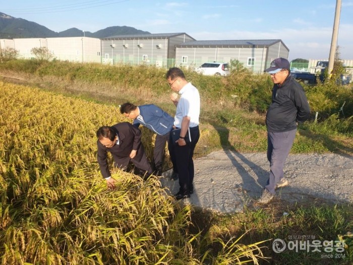 김준성 영광군수, 태풍 피해현장 위로 방문 2.JPG