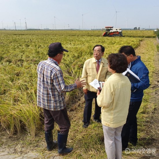 영광군, 태풍 미탁 대비 농작물 조기수확 독려 1.jpg