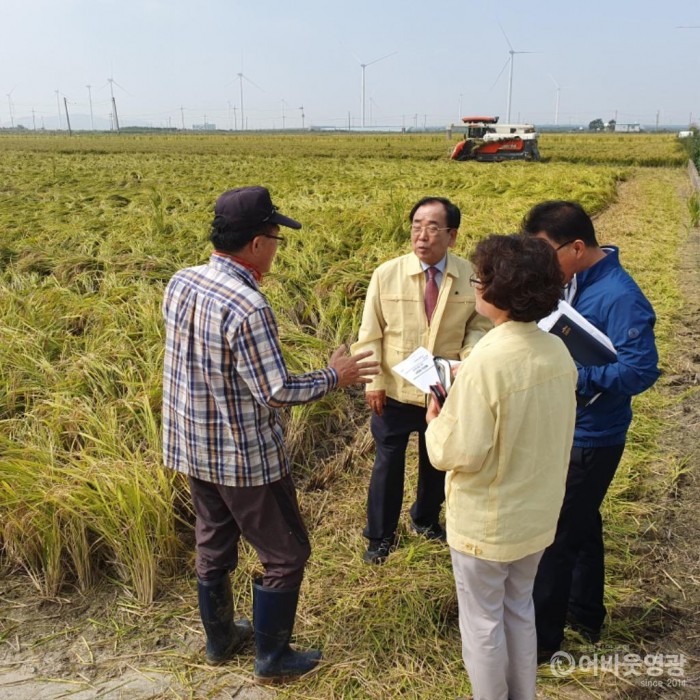 영광군, 태풍 미탁 대비 농작물 조기수확 독려 1.jpg