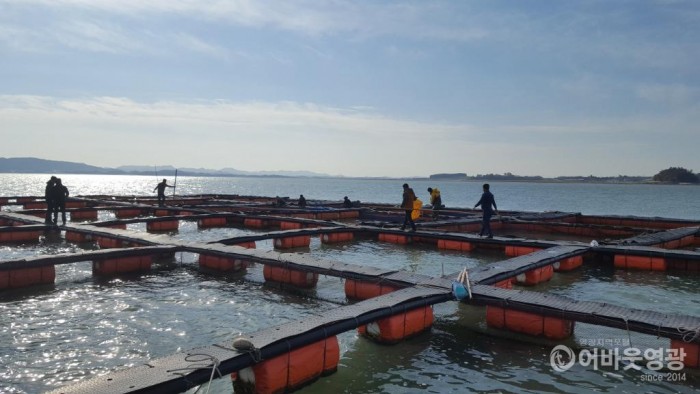 3.참조기 해상가두리 양식 어업면허 처분..jpg