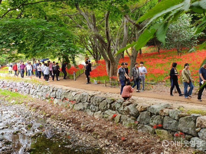 사본 -영광불갑산상사화축제, 2020년 전라남도 대표축제 선정 2.jpg