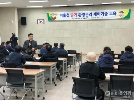 사본 -영광군, 겨울철 딸기 환경관리 이렇게 하세요 1.jpg