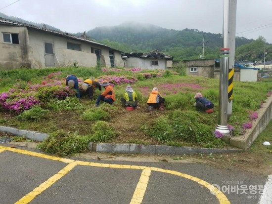 사본 -영광군, 2020년 상반기 지역공동체 일자리사업 추진 1.jpg