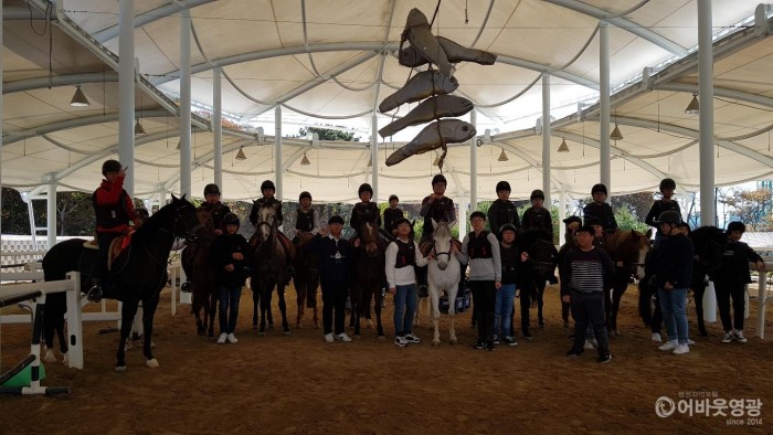 영광 승마장 다양한 승마체험 프로그램 운영 1.jpg